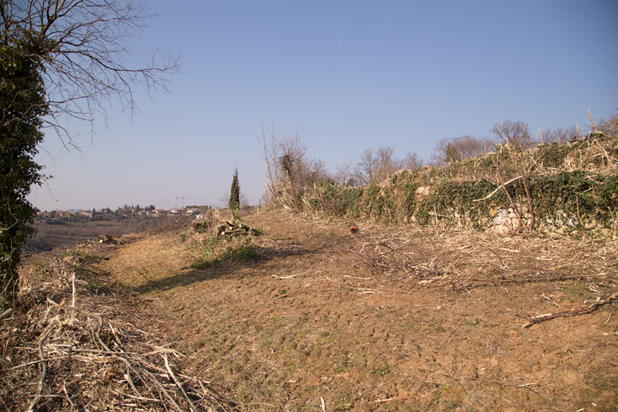 lavorazioni_agricole_01