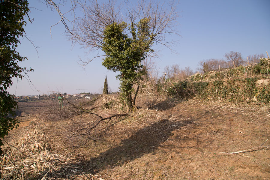 lavorazioni_agricole_02