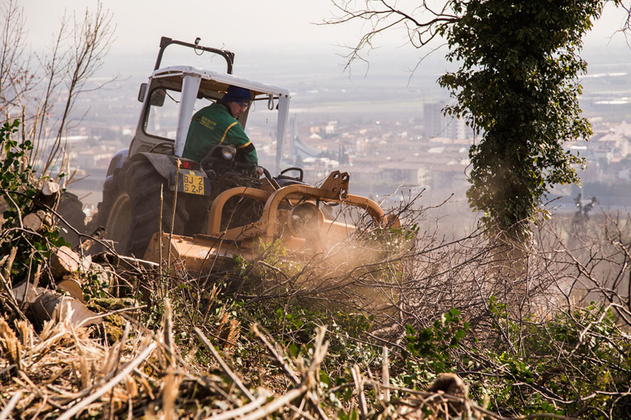 lavorazioni_agricole_03