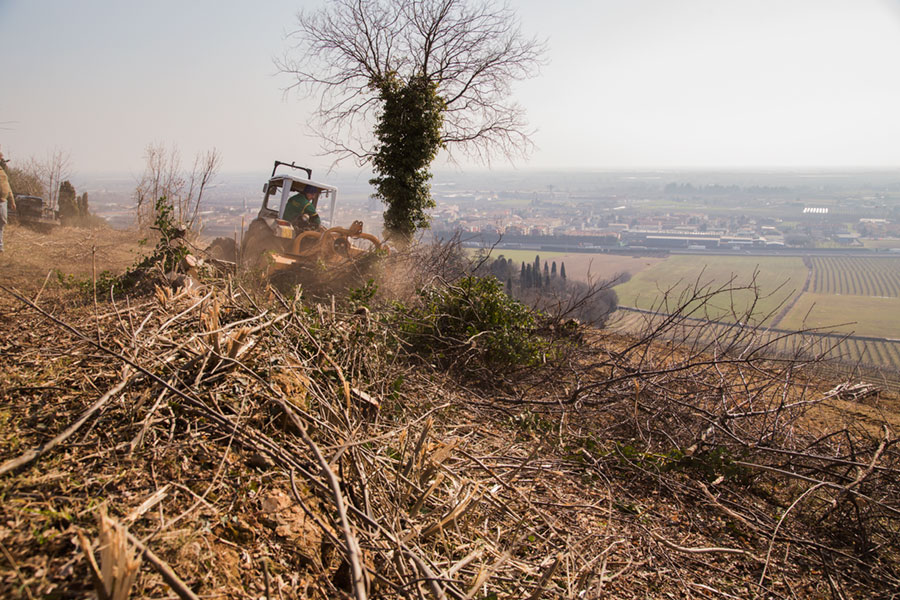 lavorazioni_agricole_04