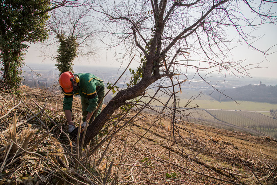 lavorazioni_agricole_05