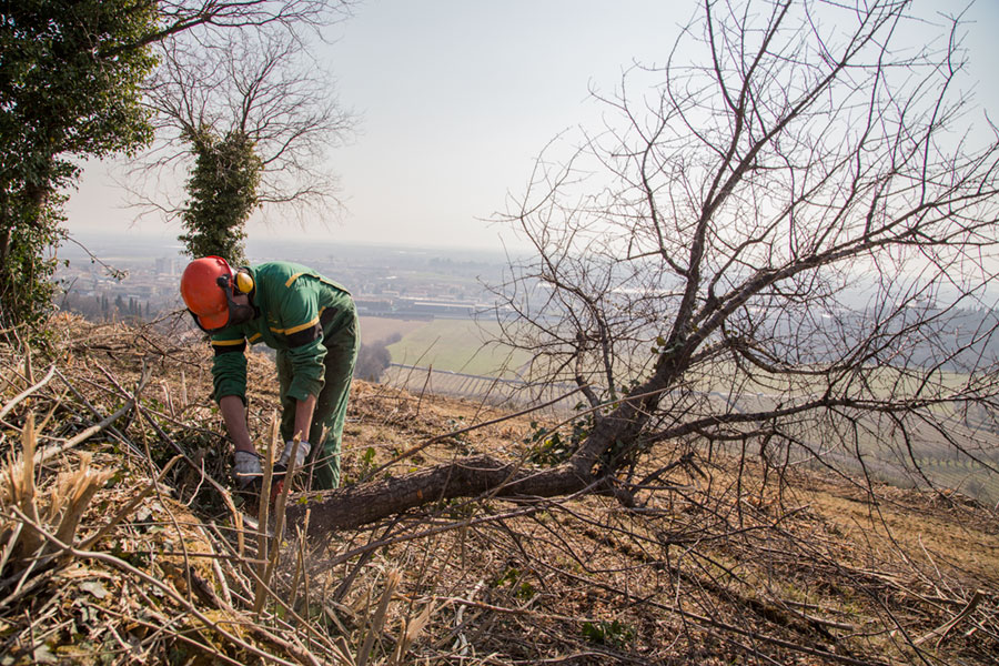 lavorazioni_agricole_06