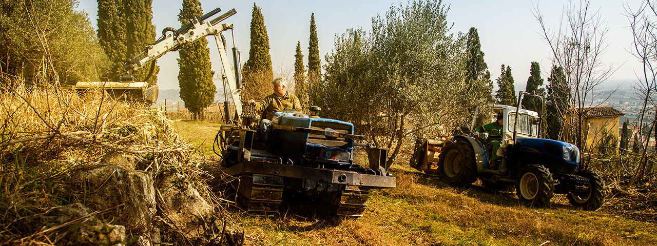 tosi_giuseppe_lavorazioni_agricole_01