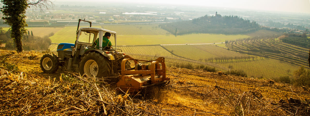 tosi_giuseppe_lavorazioni_agricole_02